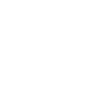 Fender-Repair